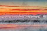 Misty Rideau Canal Sunrise_34750-1